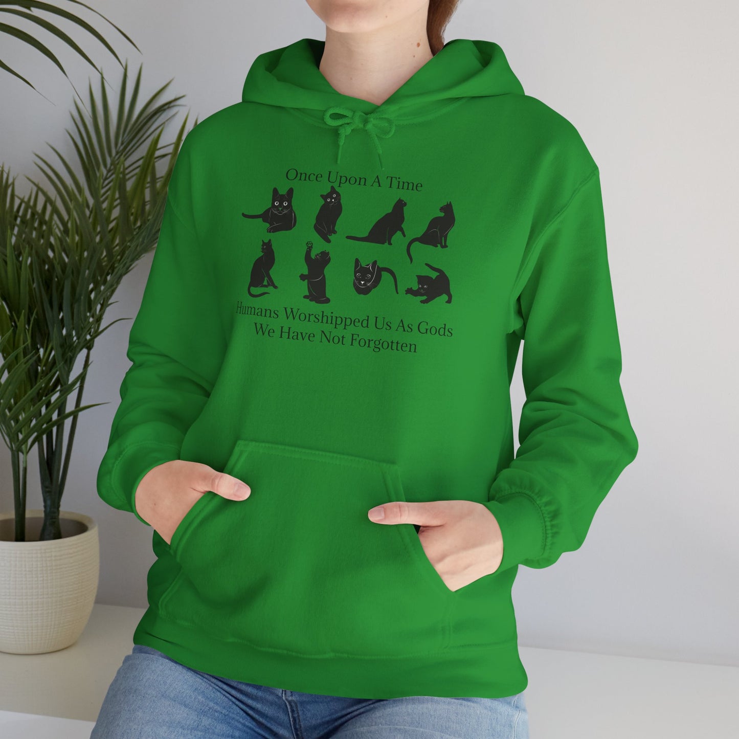Once Upon A Time Unisex Hoodie