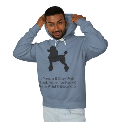 I Wonder Unisex Lightweight Hoodie
