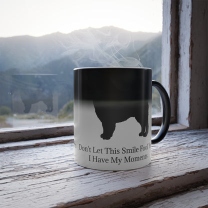 Fool You Color Changing Mug