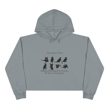 Once Upon A Time Women's Crop Hoodie