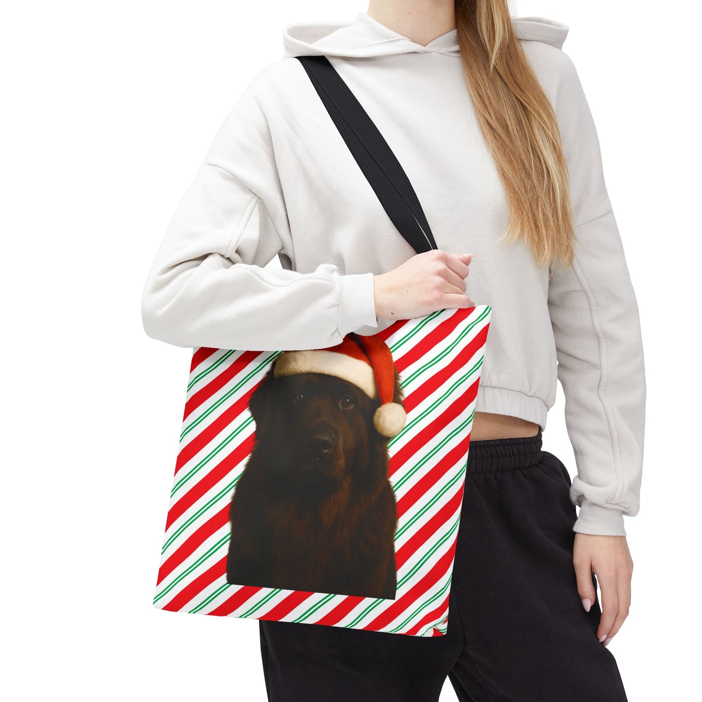 Santa Paws Newfie Tote Bag