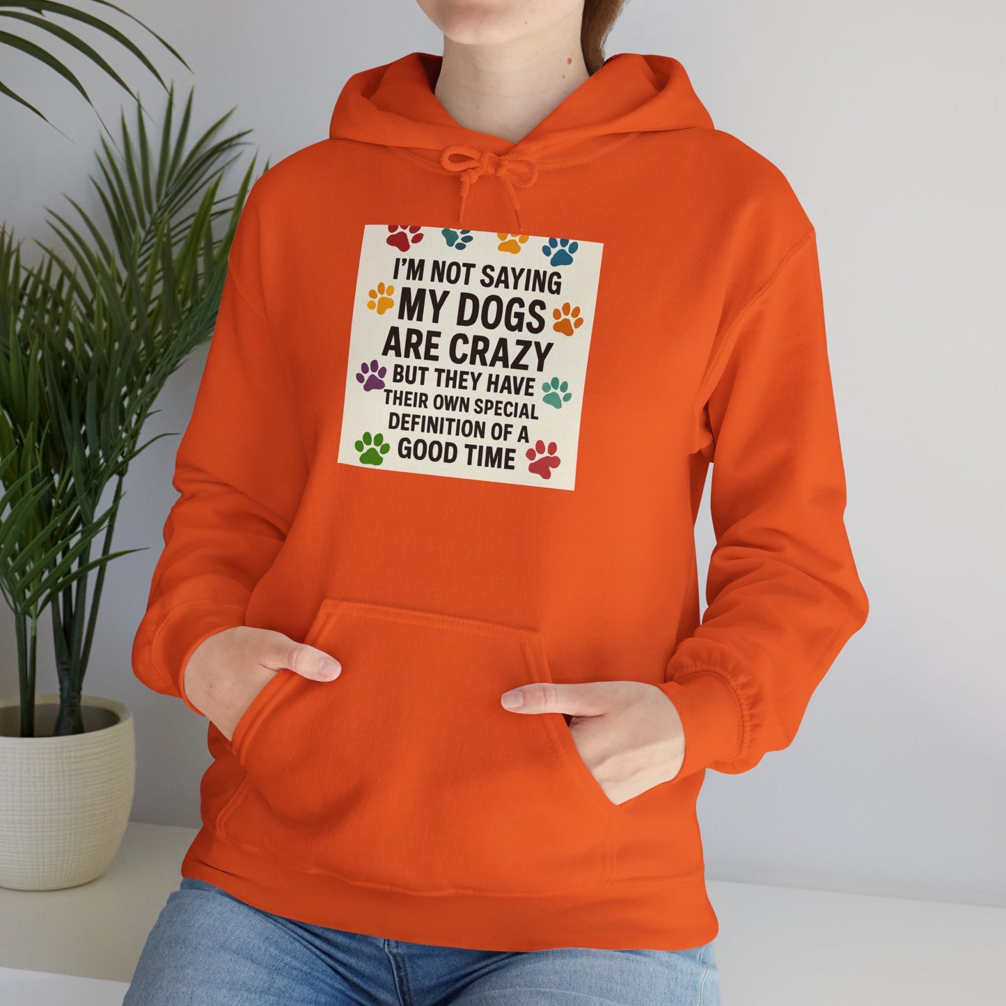 Special Definition Unisex Hoodie