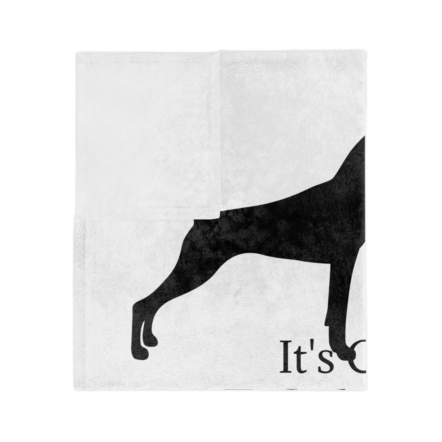 Arrange The Meeting Velveteen Microfiber Blanket