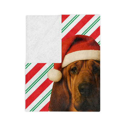 Santa Paws Bloodhound Velveteen Microfiber Blanket