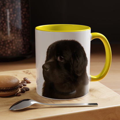 Newfie Head 2-Tone Coffee Mug