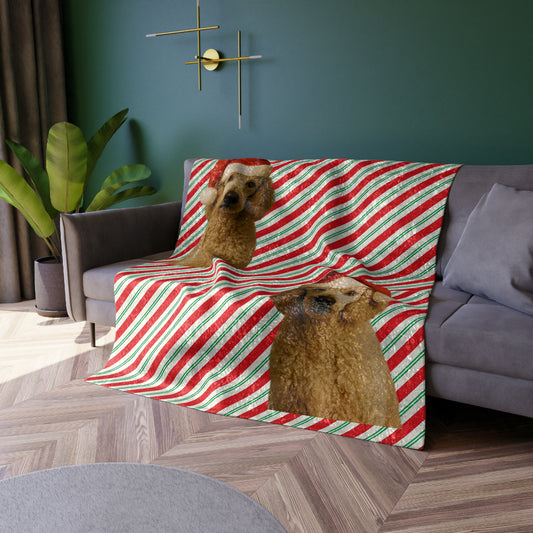 Santa Paws Poodle Crushed Velvet Blanket