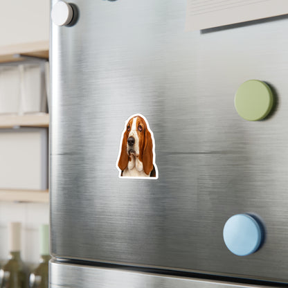 Basset Head Vinyl Decal