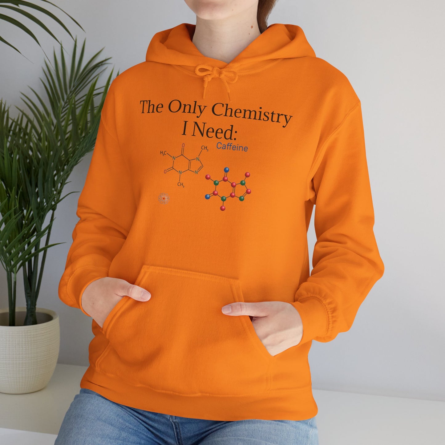 Chemistry Lesson Unisex Hoodie
