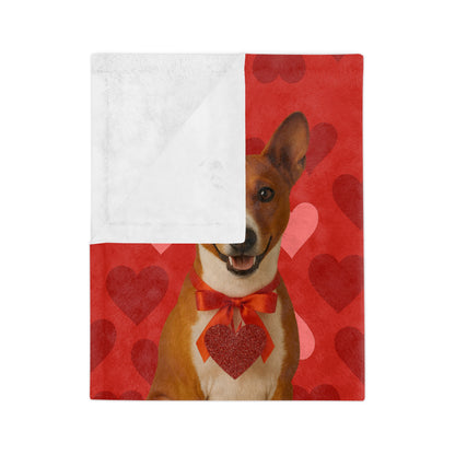 Cupid's Companion Basenji Velveteen Microfiber Blanket