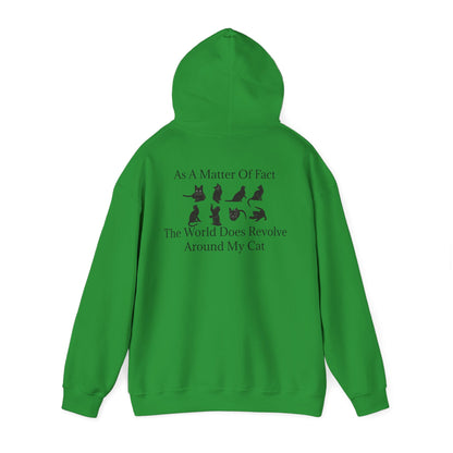 Matter Of Fact Cat Unisex Hoodie