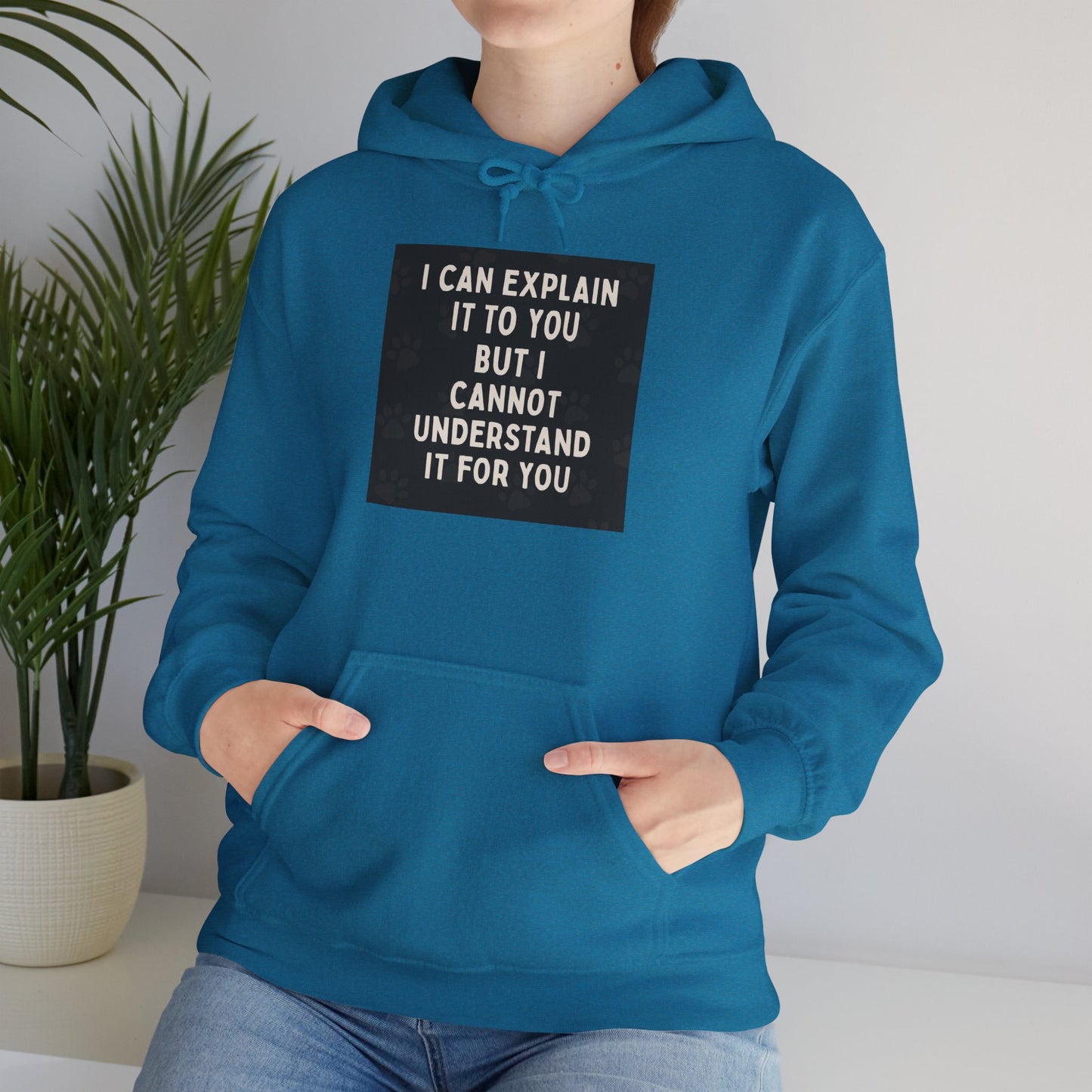 I Cannot Understand It For You Unisex Hoodie