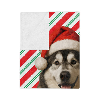 Santa Paws Malamute Velveteen Microfiber Blanket