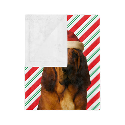 Santa Paws Bloodhound Velveteen Microfiber Blanket