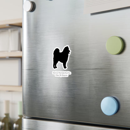 Fool You Vinyl Decal