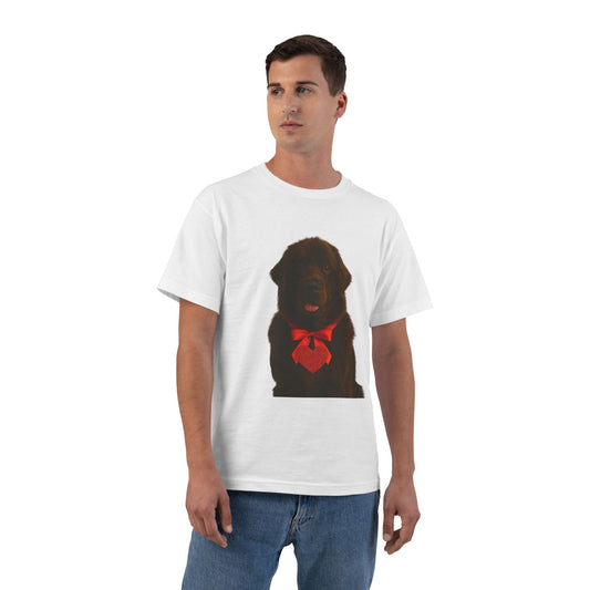 Cupid's Companion Newfie Men's Short-Sleeve Crewneck Tee