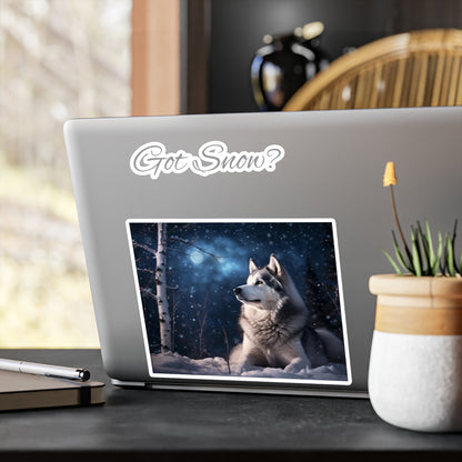 Got Snow? Vinyl Decal