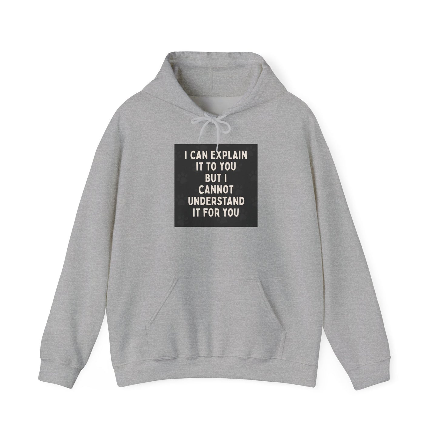 I Cannot Understand It For You Unisex Hoodie