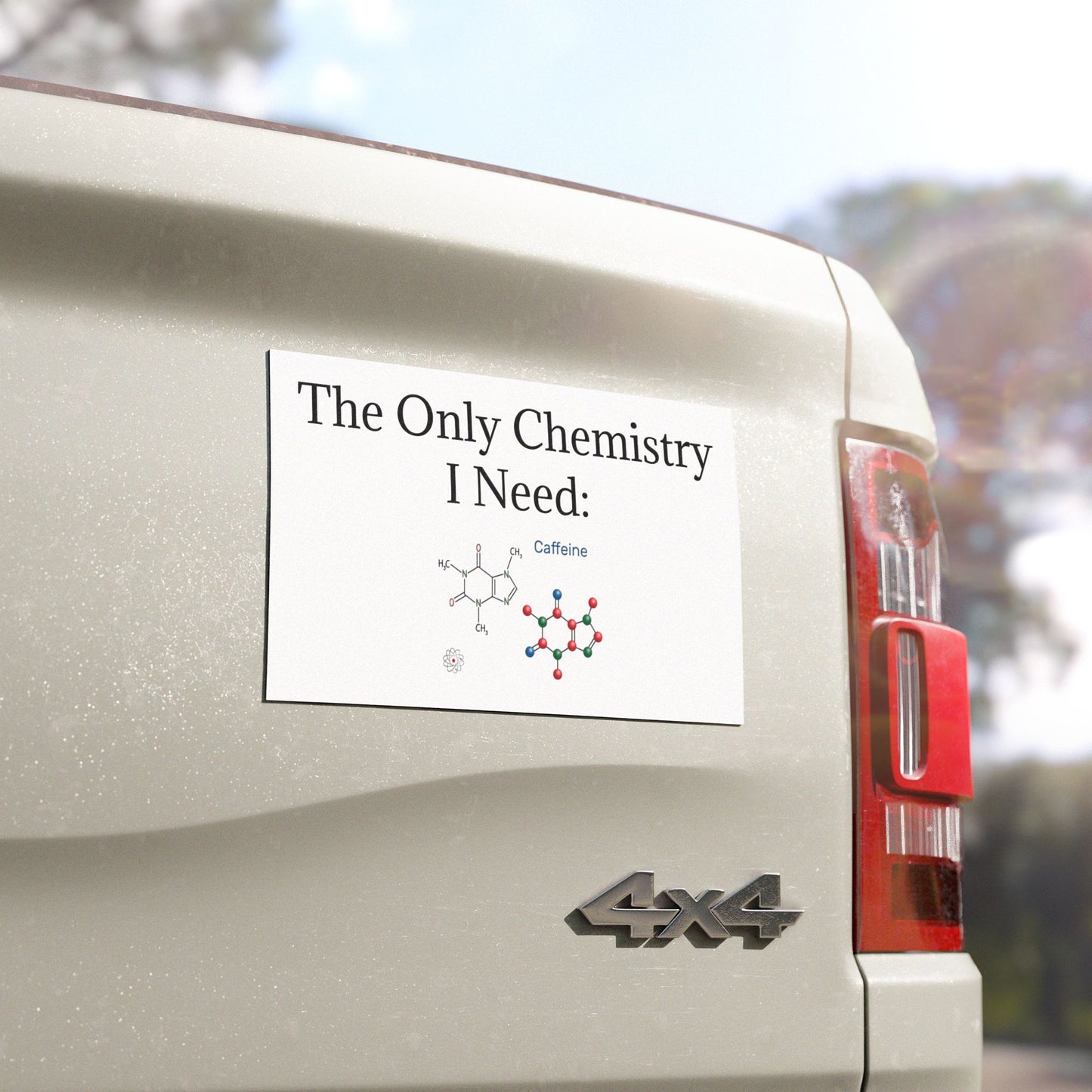 Chemistry Lesson Indoor/Outdoor Magnet