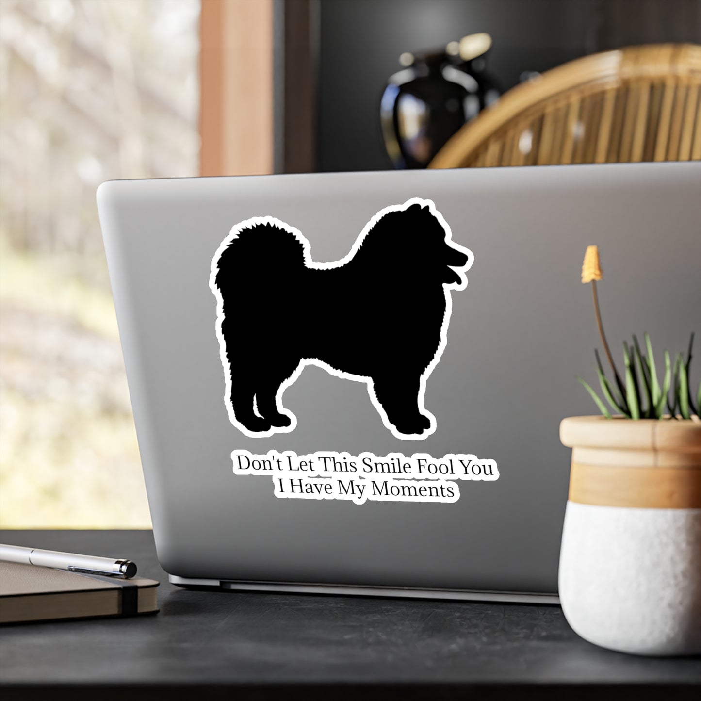 Fool You Vinyl Decal