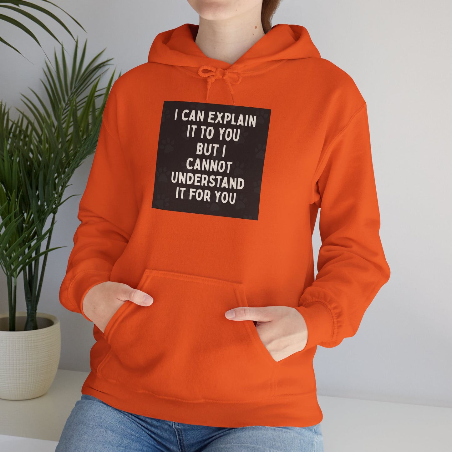 I Cannot Understand It For You Unisex Hoodie