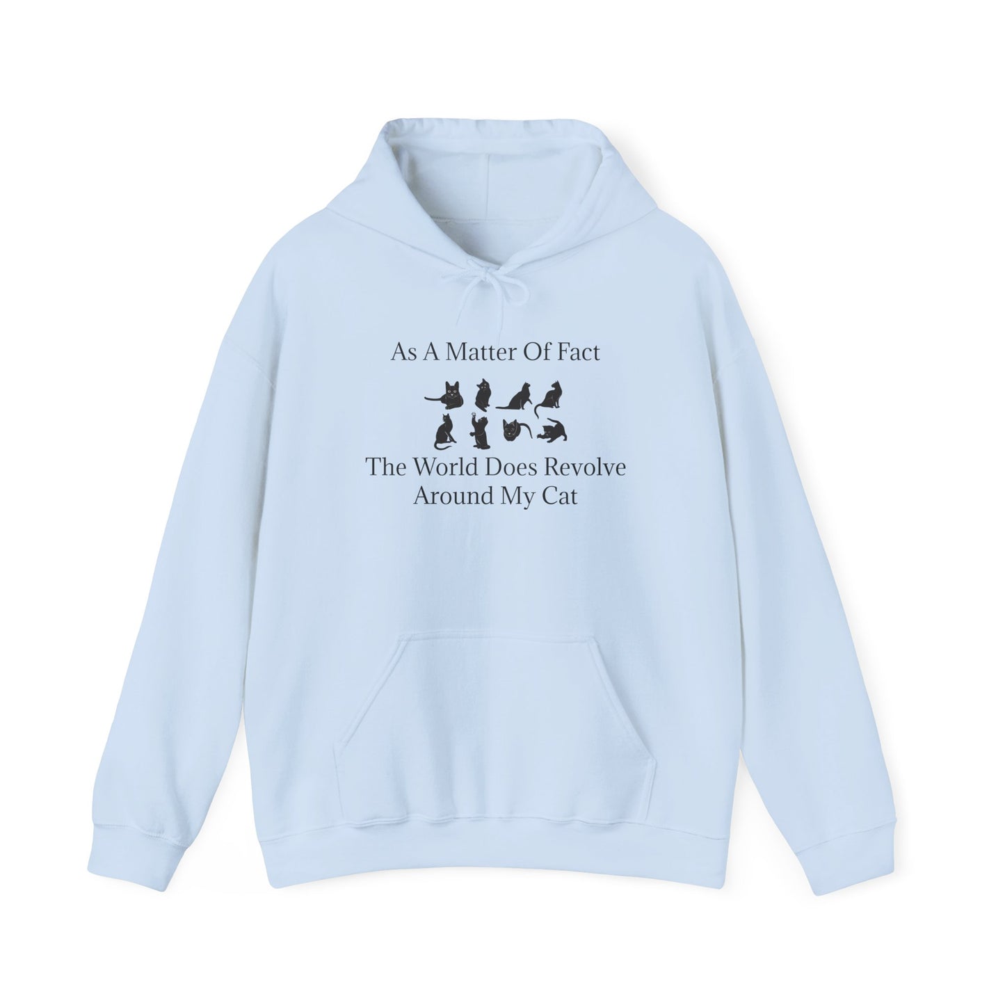 Matter Of Fact Cat Unisex Hoodie