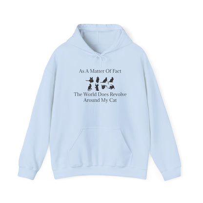 Matter Of Fact Cat Unisex Hoodie