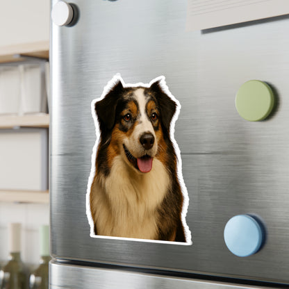 Aussie Head Vinyl Decal