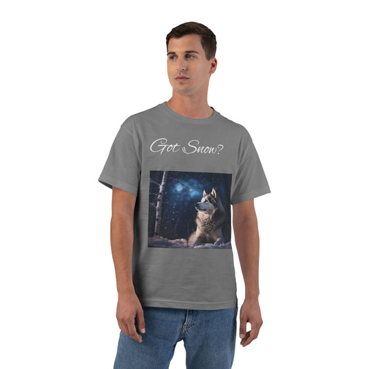 Got Snow? Men's Short-Sleeve Crewneck Tee