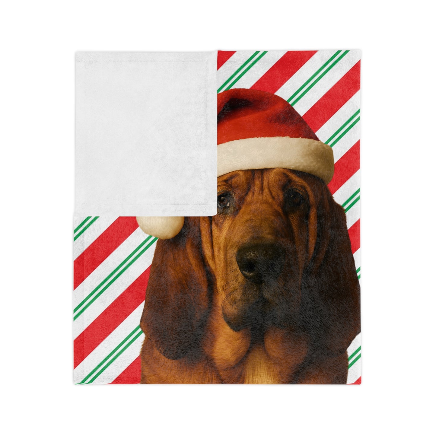 Santa Paws Bloodhound Velveteen Microfiber Blanket