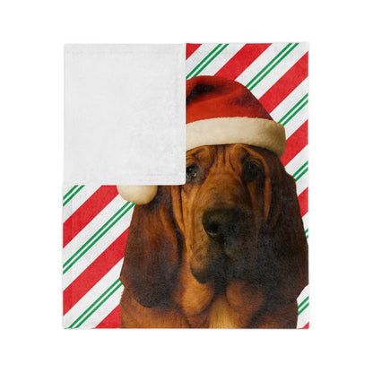 Santa Paws Bloodhound Velveteen Microfiber Blanket