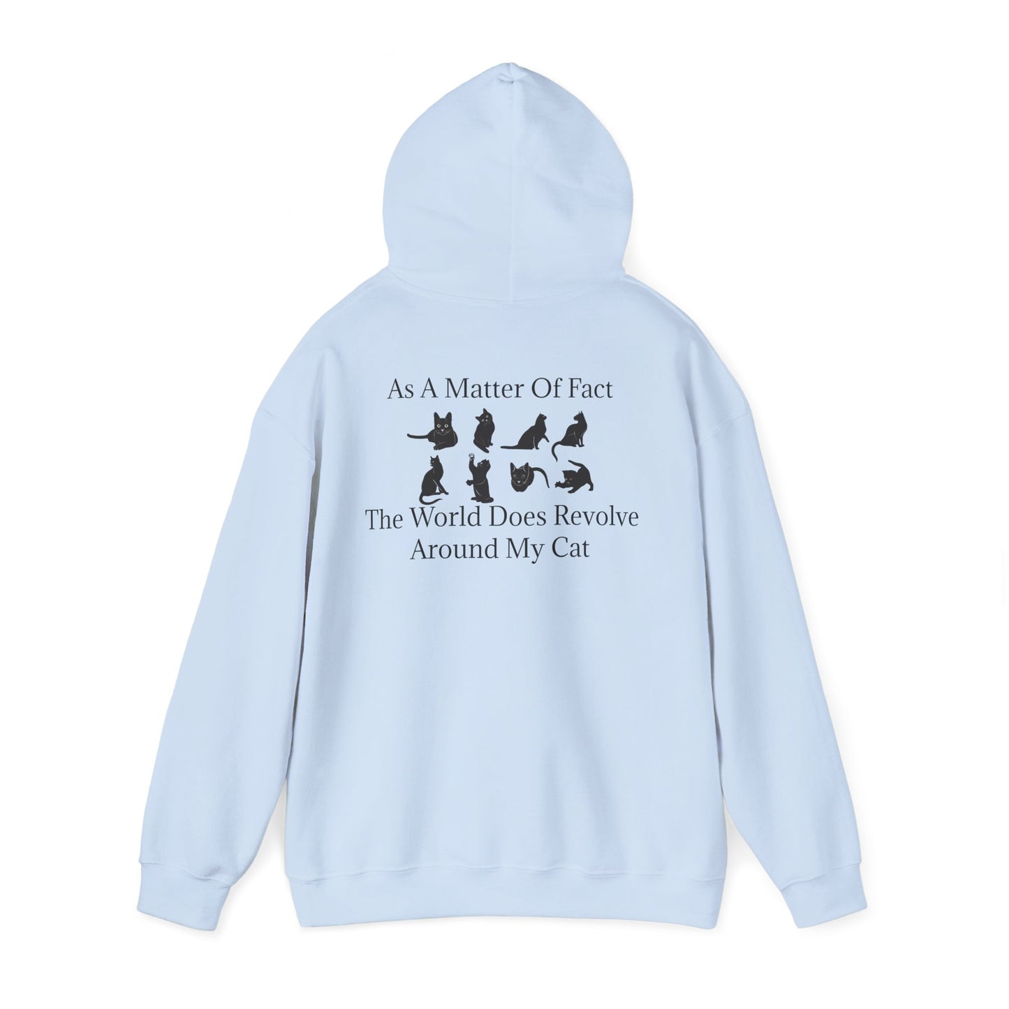 Matter Of Fact Cat Unisex Hoodie