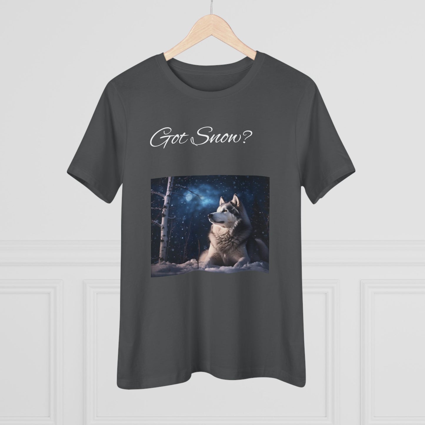 Got Snow? Women's Short Sleeve Crewneck Tee