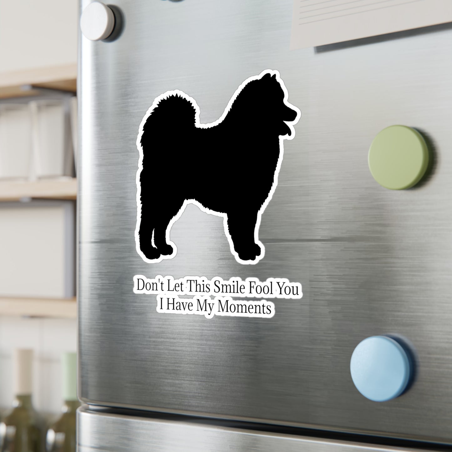 Fool You Vinyl Decal