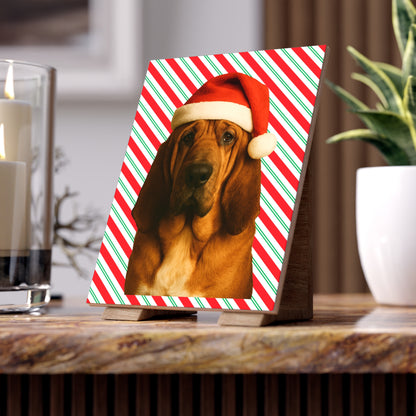 Santa Paws Bloodhound Ceramic Photo Tile