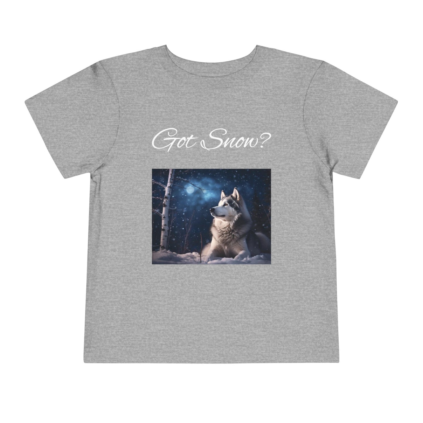 Got Snow? Toddler Unisex Short Sleeve Crewneck Tee