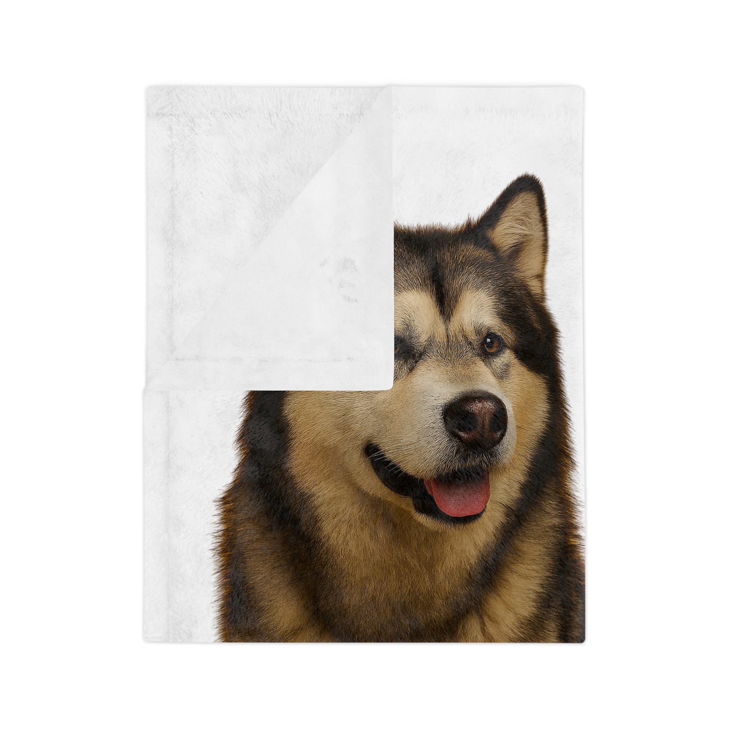Malamute Head Velveteen Microfiber Blanket