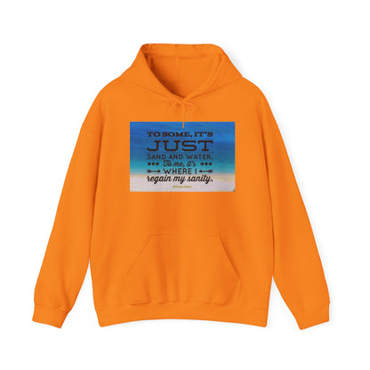 Dr. Beach Unisex Hoodie