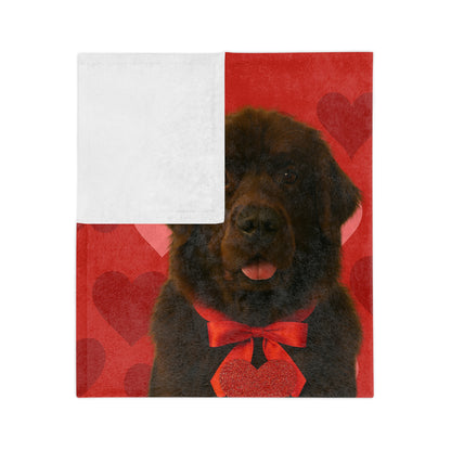 Cupid's Companion Newfie Velveteen Microfiber Blanket