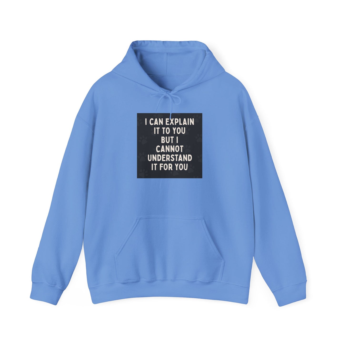 I Cannot Understand It For You Unisex Hoodie