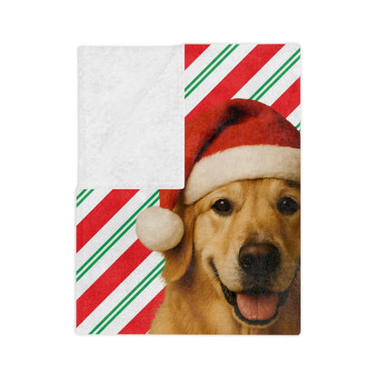 Santa Paws Golden Velveteen Microfiber Blanket