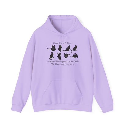 Once Upon A Time Unisex Hoodie