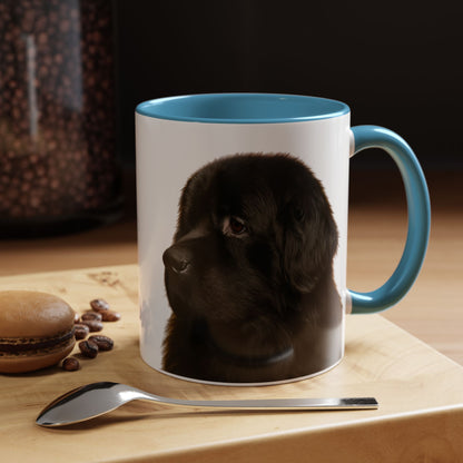 Newfie Head 2-Tone Coffee Mug