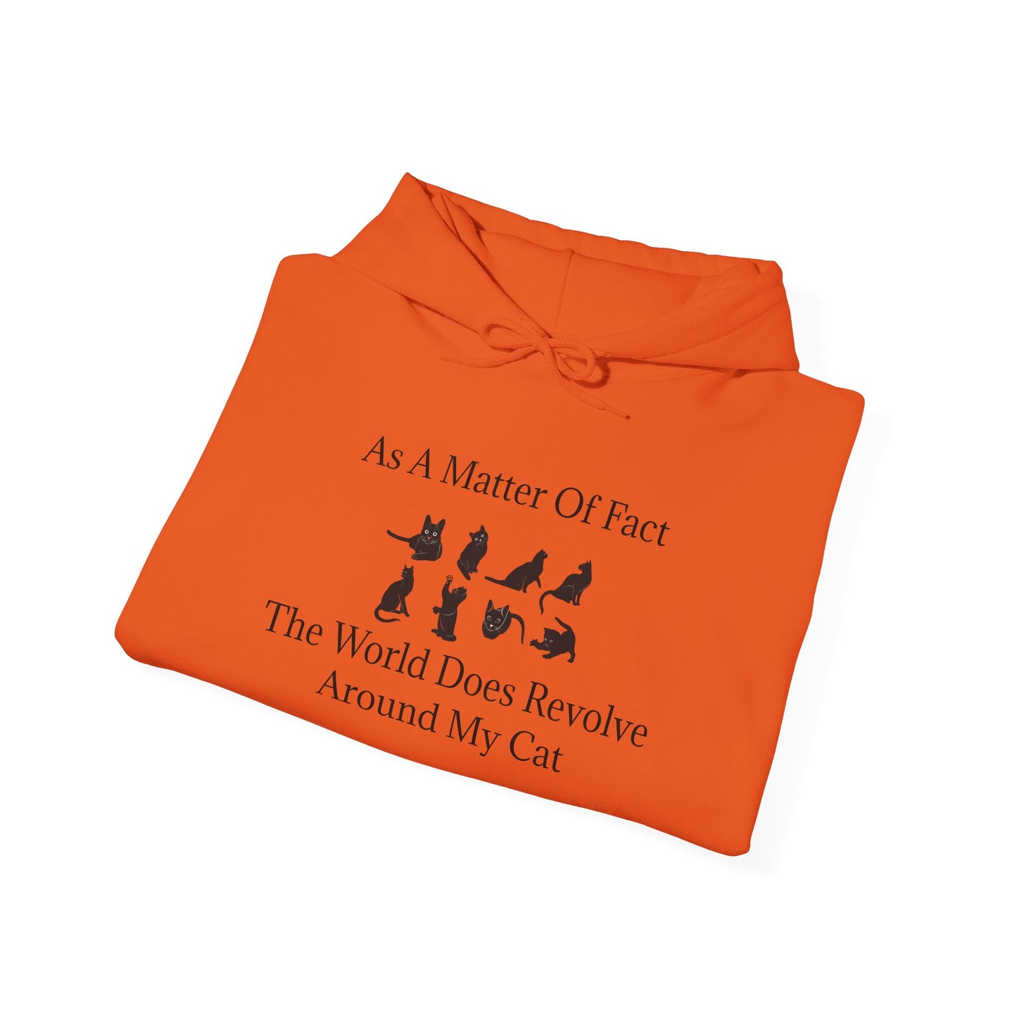 Matter Of Fact Cat Unisex Hoodie