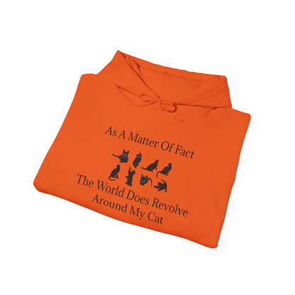 Matter Of Fact Cat Unisex Hoodie