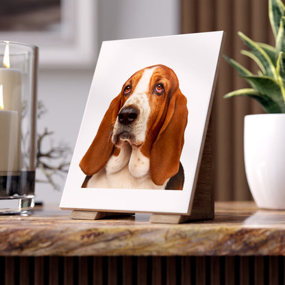 Basset Head Ceramic Photo Tile