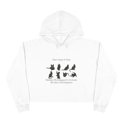 Once Upon A Time Women's Crop Hoodie