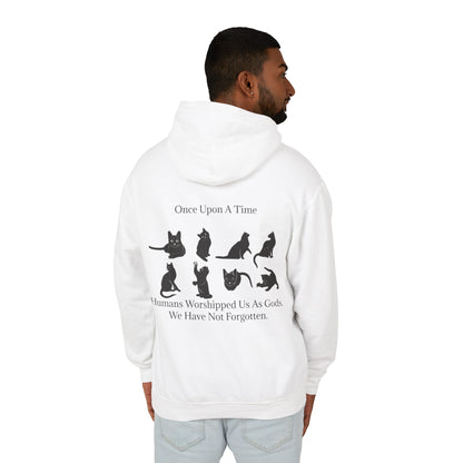 Once Upon A Time Unisex Lightweight Hoodie