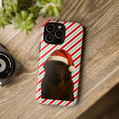 Santa Paws Newfie iPhone Case