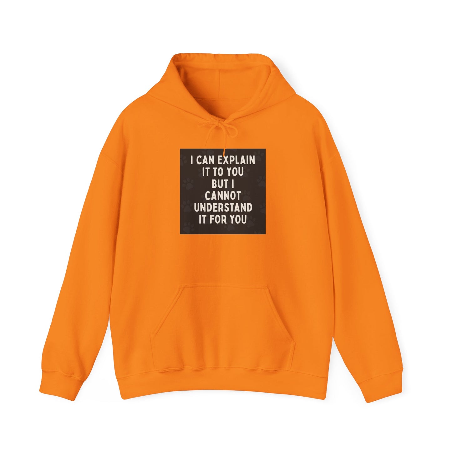 I Cannot Understand It For You Unisex Hoodie