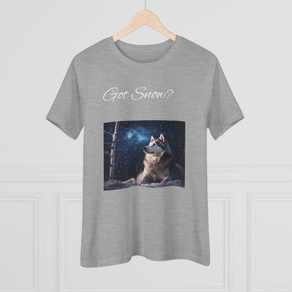 Got Snow? Women's Short Sleeve Crewneck Tee